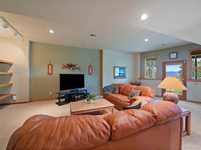 13094 Molly Dr, Conifer, CO 80433 - living room featuring carpet flooring, recessed lighting, and rail lighting