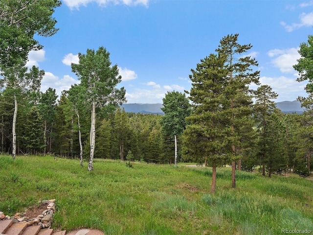 13094 Molly Dr, Conifer, CO 80433 - view of yard featuring a wooded view and a mountain view