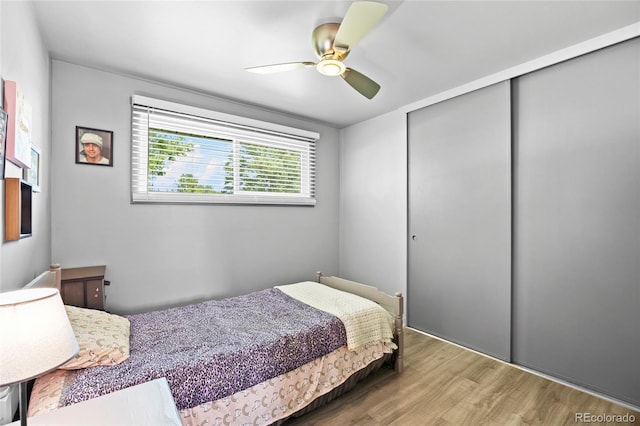 7361 Clay St, Westminster, CO 80030 - photo 26