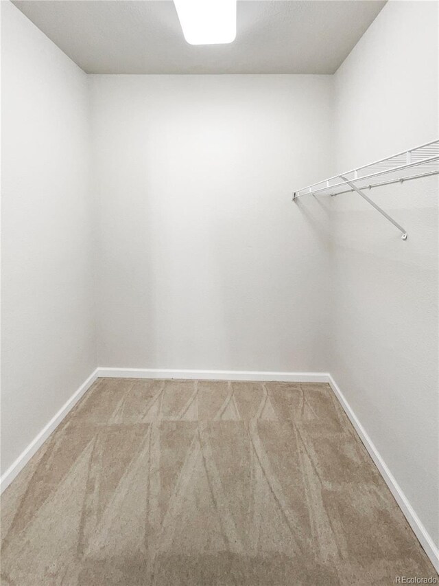 spacious closet featuring carpet