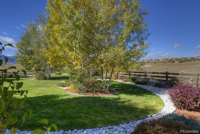 698 Larimer Creek Dr, Monument, CO 80132 - view of yard
