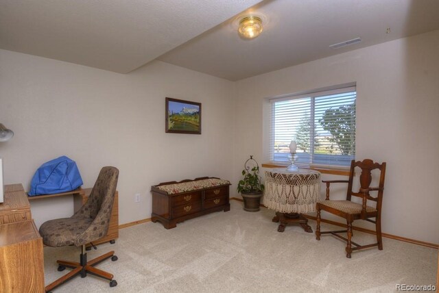 698 Larimer Creek Dr, Monument, CO 80132 - office area featuring carpet floors and baseboards