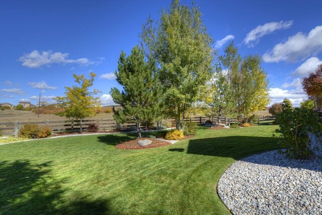 698 Larimer Creek Dr, Monument, CO 80132 - view of yard