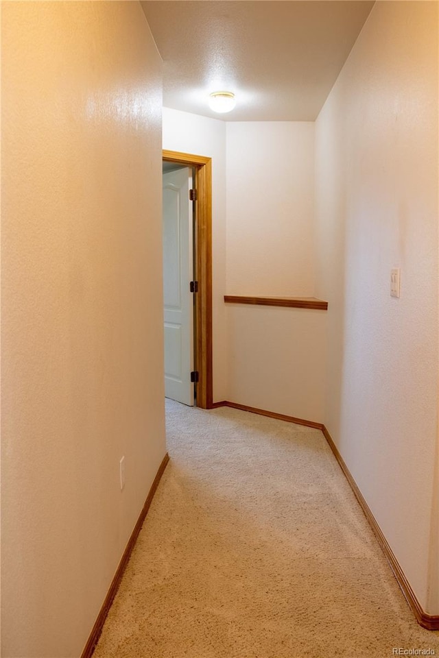 698 Larimer Creek Dr, Monument, CO 80132 - hallway featuring light colored carpet and baseboards