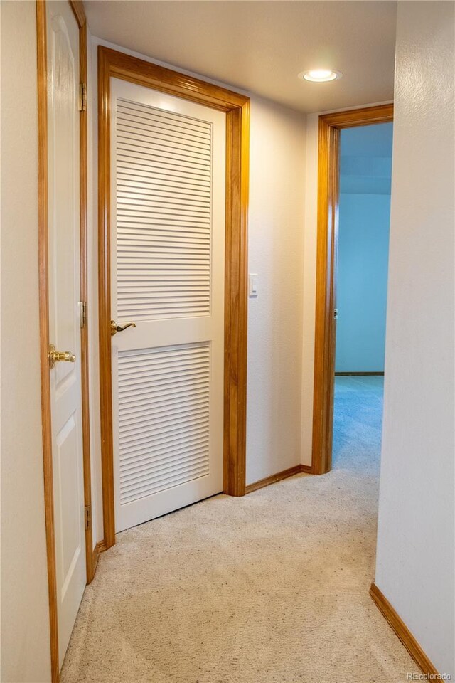 698 Larimer Creek Dr, Monument, CO 80132 - hall featuring carpet and baseboards