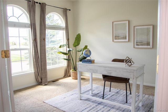698 Larimer Creek Dr, Monument, CO 80132 - office space featuring carpet and baseboards
