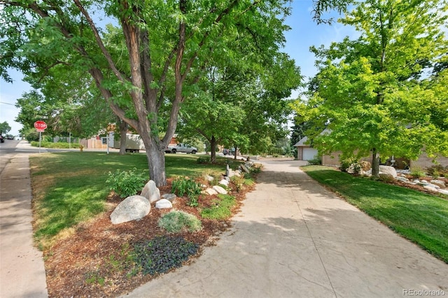 view of property's community featuring a lawn