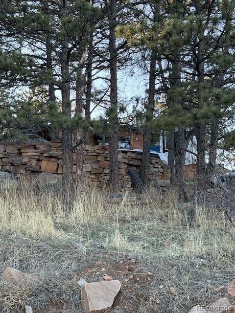 433 Gunn Ave, Berthoud, CO 80513 - view of yard