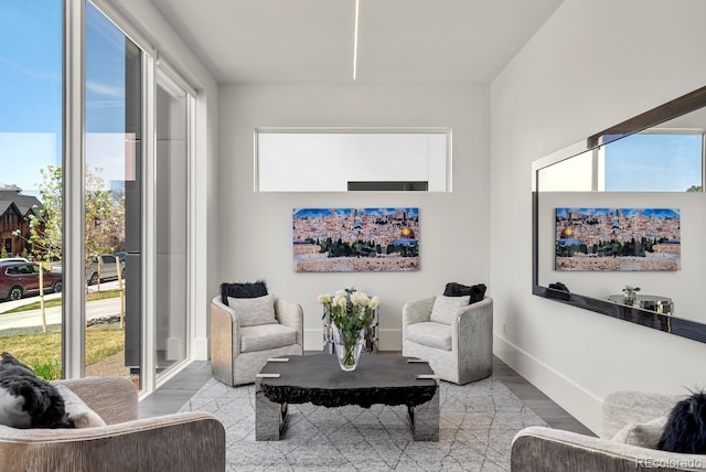 sitting room featuring baseboards, wood finished floors, and a healthy amount of sunlight