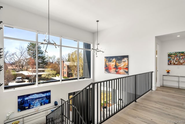hall featuring a wealth of natural light and wood finished floors