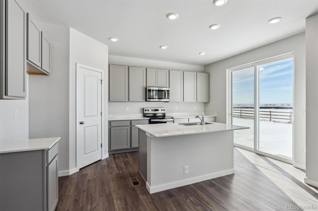 kitchen featuring appliances with stainless steel finishes, sink, a center island with sink, and gray cabinetry