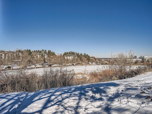 view of yard covered in snow