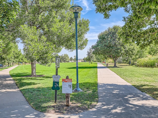 view of community featuring a yard