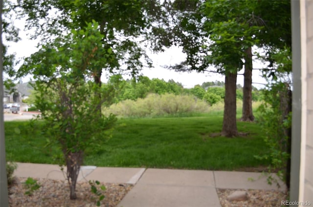 400 Zang St Unit 1-105, Lakewood, CO 80228 - view of grassy yard