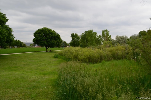 400 Zang St Unit 1-105, Lakewood, CO 80228 - view of nature