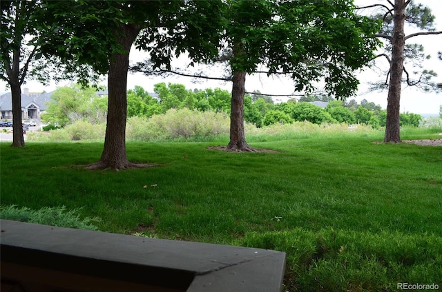 400 Zang St Unit 1-105, Lakewood, CO 80228 - view of grassy yard