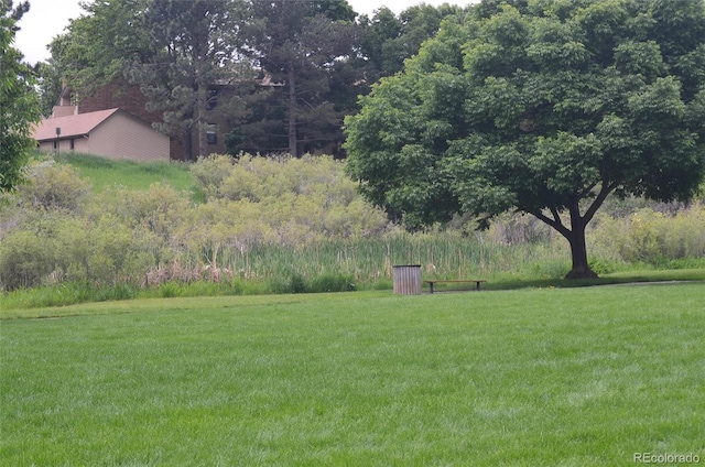 400 Zang St Unit 1-105, Lakewood, CO 80228 - view of grassy yard