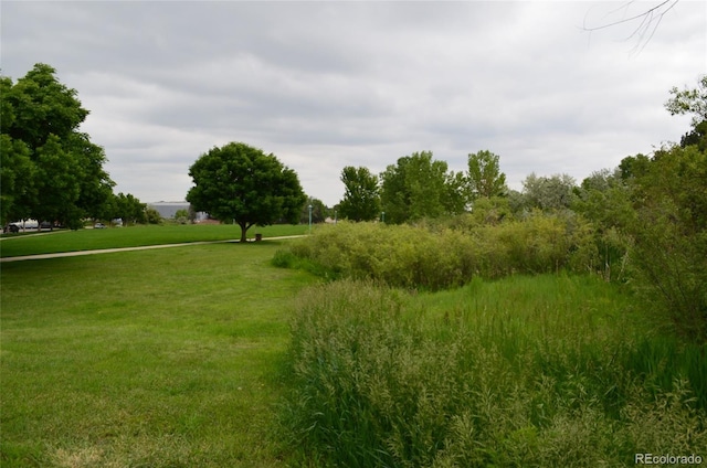 400 Zang St Unit 1-105, Lakewood, CO 80228 - view of nature
