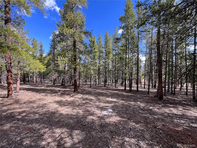 30336 National Forest Dr, Buena Vista CO, 81211 land for sale