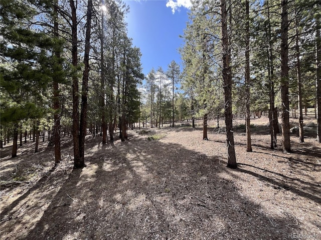 Listing photo 3 for 30336 National Forest Dr, Buena Vista CO 81211