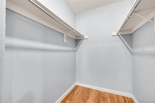 201 Wright St Unit 105, Lakewood, CO 80228 - spacious closet featuring light wood-style flooring