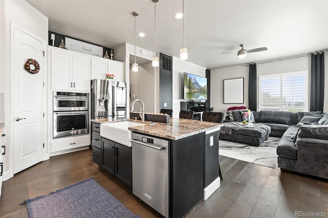 10080 E 160th Pl, Brighton, CO 80602 - kitchen with a sink, appliances with stainless steel finishes, open floor plan, dark wood finished floors, and a ceiling fan