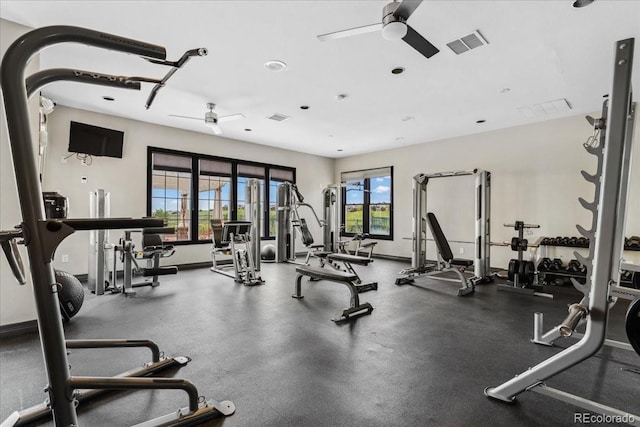 1631 Egret Way, Superior, CO 80027 - exercise room featuring ceiling fan