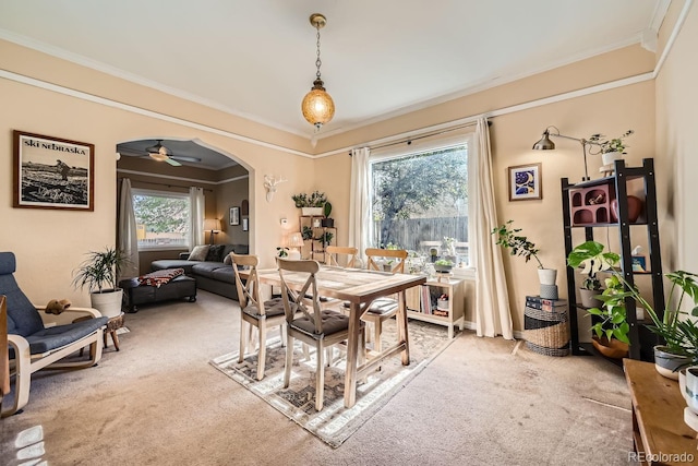 dining area featuring crown molding, plenty of natural light, and carpet floors