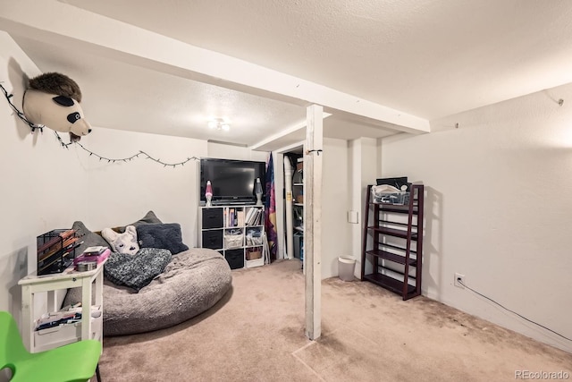 basement featuring light carpet and a textured ceiling