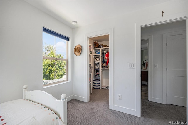 4180 Ames St, Denver, CO 80212 - bedroom with a walk in closet, carpet floors, multiple windows, and a closet