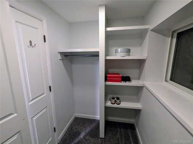 spacious closet featuring dark carpet