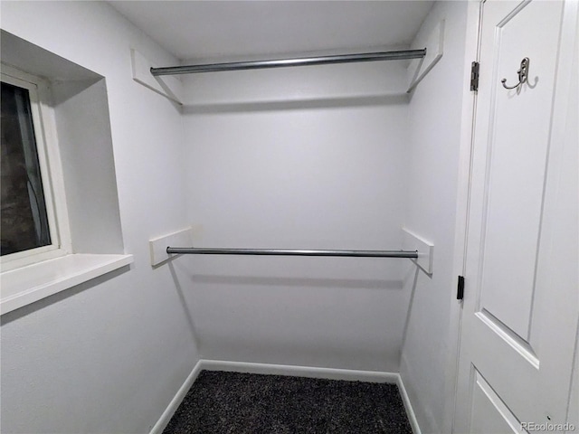 spacious closet featuring carpet floors