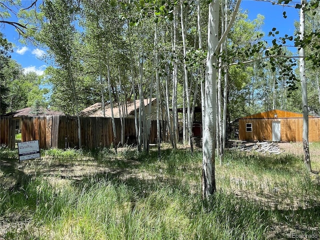 1010 San Juan Ave, Saguache, CO 81149 - view of yard