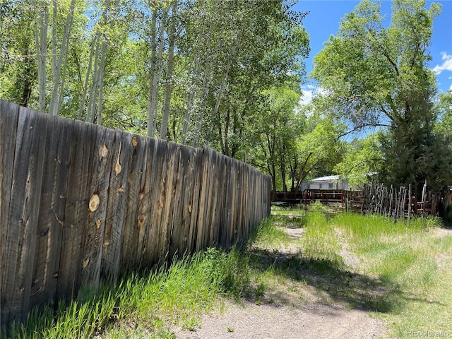 1010 San Juan Ave, Saguache, CO 81149 - view of yard