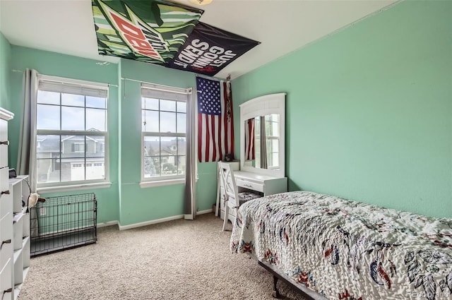 428 Frontier Ln, Johnstown, CO 80534 - photo 21