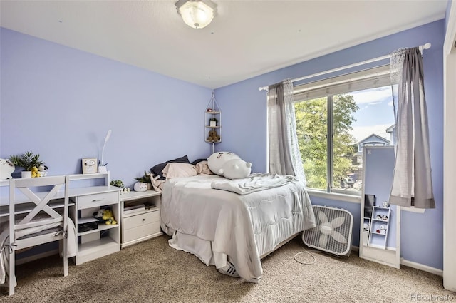 428 Frontier Ln, Johnstown, CO 80534 - photo 23