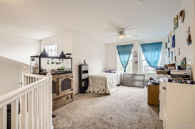 428 Frontier Ln, Johnstown, CO 80534 - photo 24