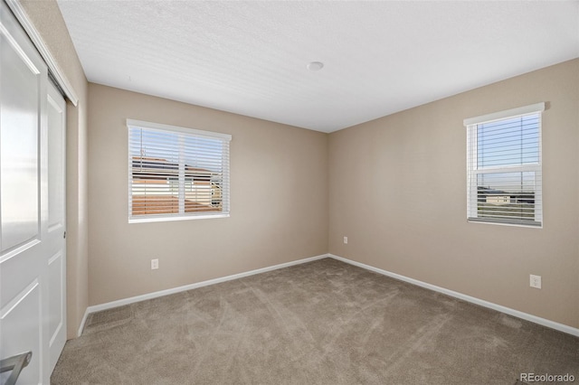 9099 Fraser River St, Littleton, CO 80125 - photo 17