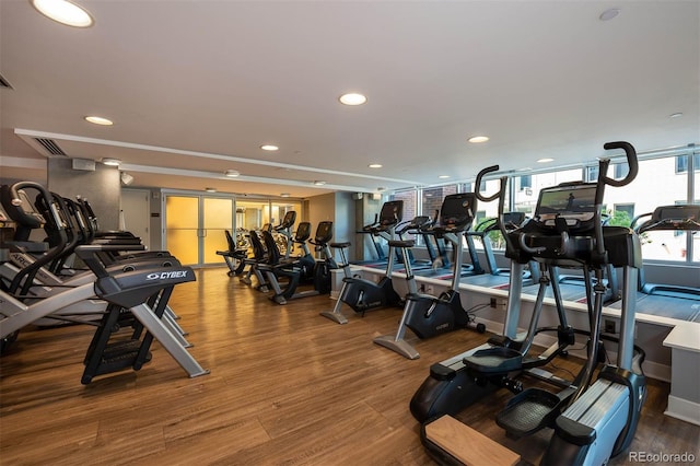 gym featuring hardwood / wood-style flooring