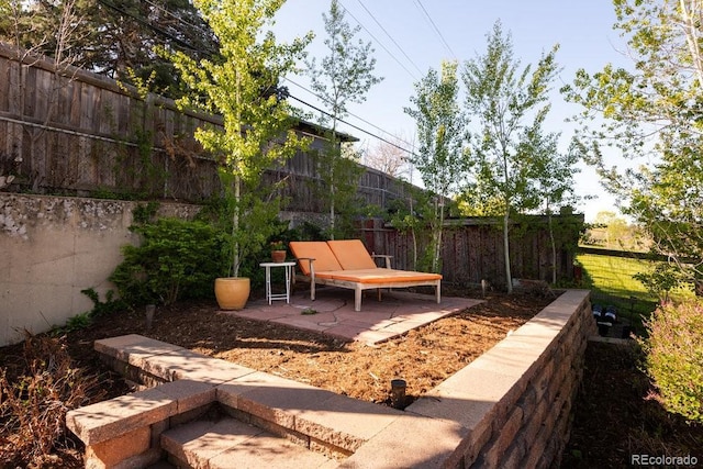 view of yard with a patio and fence