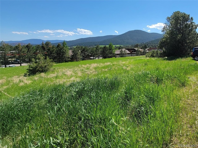 31720 Rocky Village Dr, Evergreen CO, 80439 land for sale