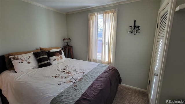 8211 Rocky Mountain Dr, Lakewood, CO 80214 - carpeted bedroom with crown molding and baseboards