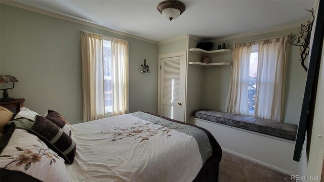 8211 Rocky Mountain Dr, Lakewood, CO 80214 - bedroom with carpet flooring, multiple windows, crown molding, and a closet