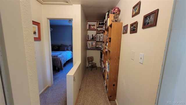 8211 Rocky Mountain Dr, Lakewood, CO 80214 - hall featuring attic access and carpet