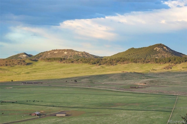 15533 S Perry Park Rd, Palmer Lake, CO 80133 - photo 11