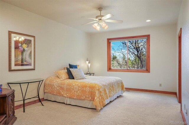 15533 S Perry Park Rd, Palmer Lake, CO 80133 - photo 41