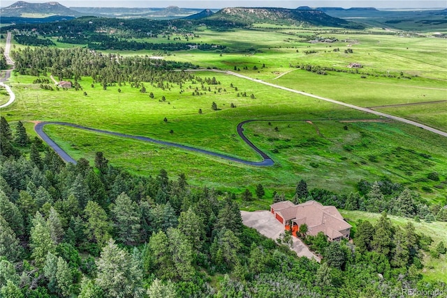 15533 S Perry Park Rd, Palmer Lake, CO 80133 - photo 4