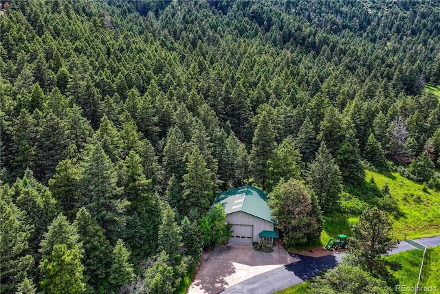 15533 S Perry Park Rd, Palmer Lake, CO 80133 - photo 5