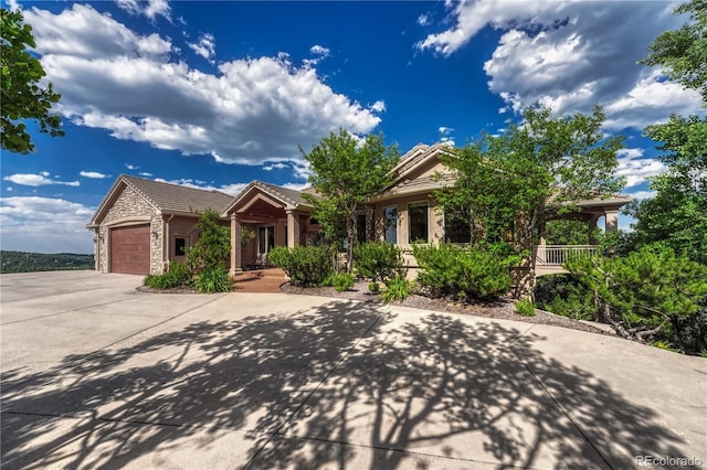 15533 S Perry Park Rd, Palmer Lake, CO 80133 - photo 6
