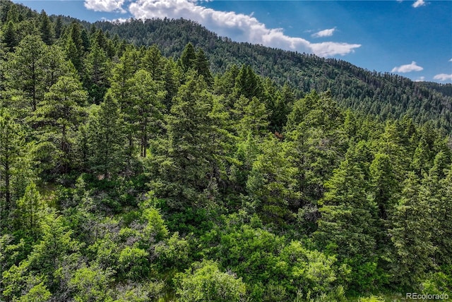 15533 S Perry Park Rd, Palmer Lake, CO 80133 - photo 48